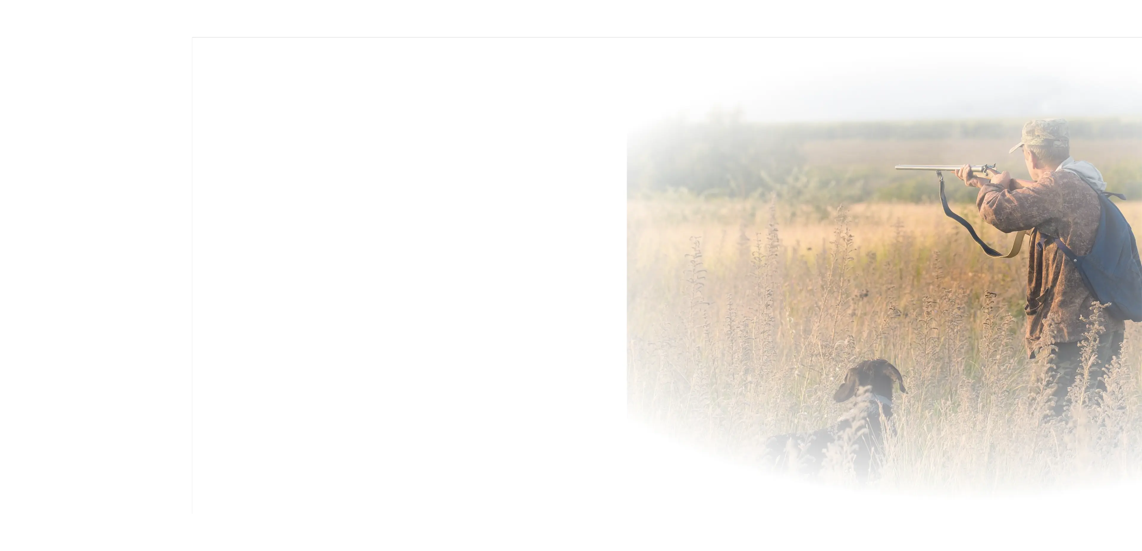 background-reference