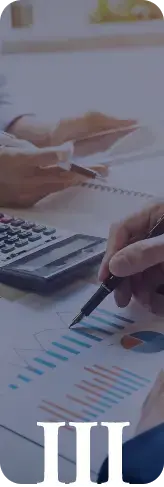 Podpora vedení, rozpočet